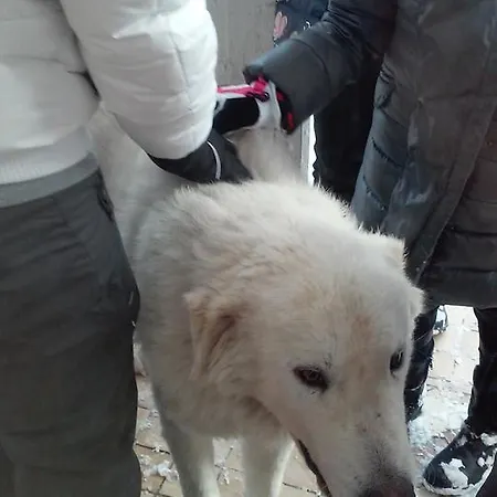 Hotel Nido Delle Rondini Ristorante Pizzeria 3*