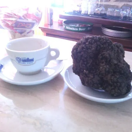 Nido Delle Rondini Ristorante Pizzeria