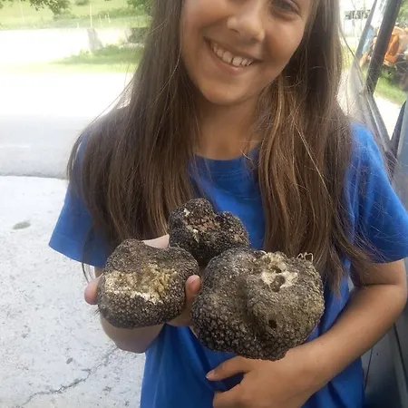 Nido Delle Rondini Ristorante Pizzeria