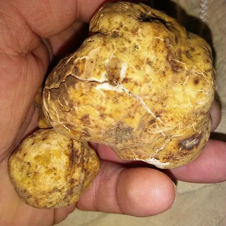 Nido Delle Rondini Ristorante Pizzeria 3*