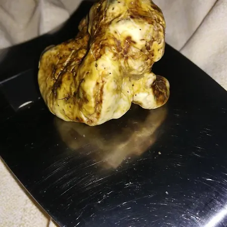 Nido Delle Rondini Ristorante Pizzeria 3*