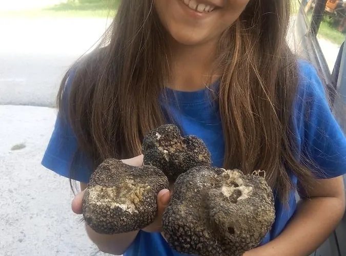 Nido Delle Rondini Ristorante Pizzeria