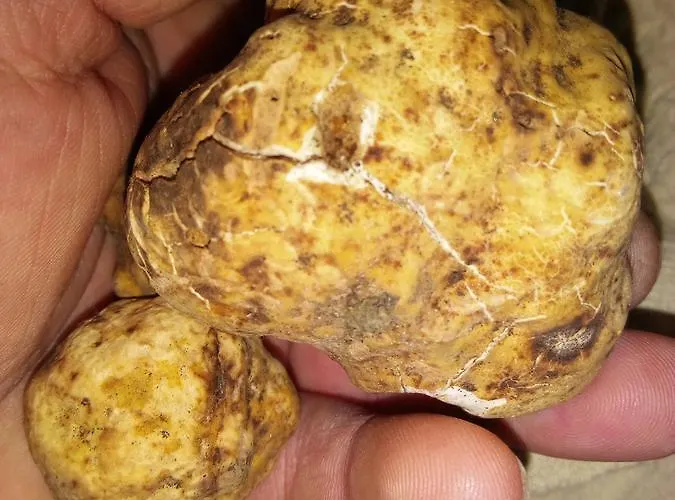 Nido Delle Rondini Ristorante Pizzeria 3*