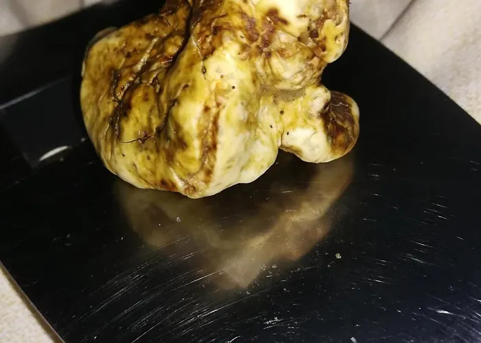 Nido Delle Rondini Ristorante Pizzeria 3*